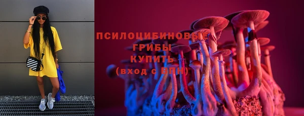 а пвп мука Инта