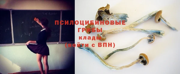 гашик Инсар