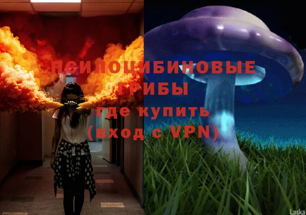 мдпв Иннополис