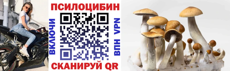 Купить закладки  Вязники  Псилоцибиновые грибы MAGIC MUSHROOMS 
